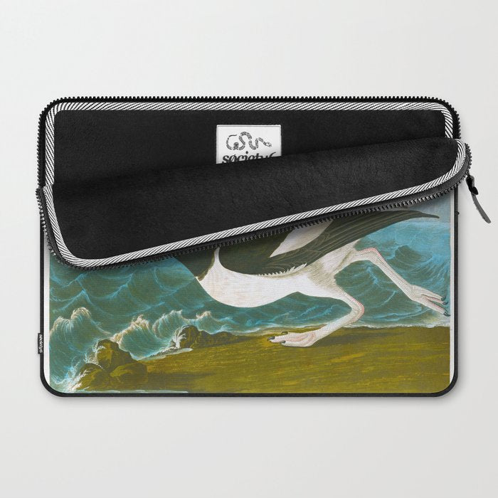 Pied oyster-catcher Bird Laptop Sleeve Gallery Image 2