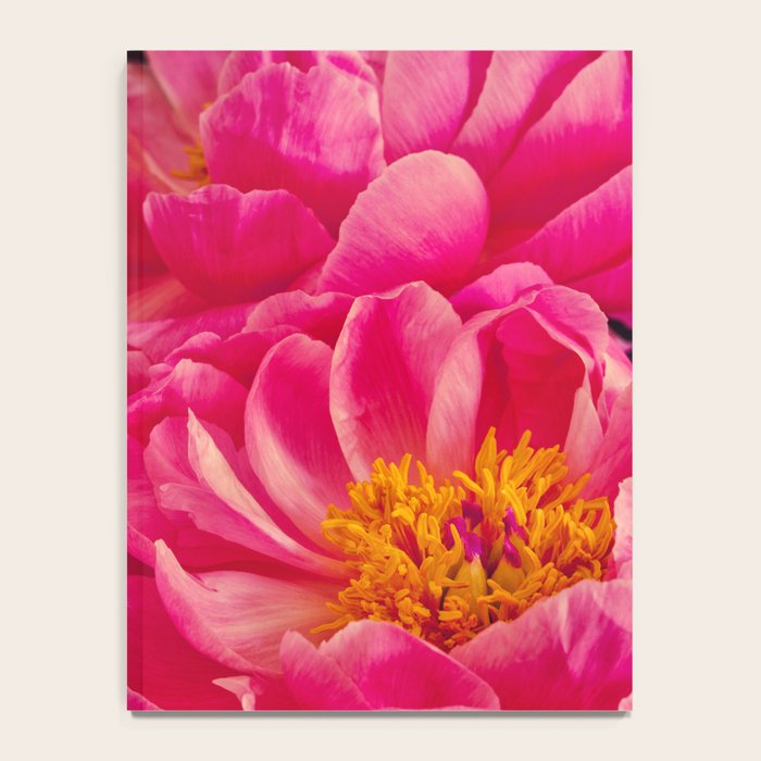 Hot Pink Peonies Notebook Gallery Image 4