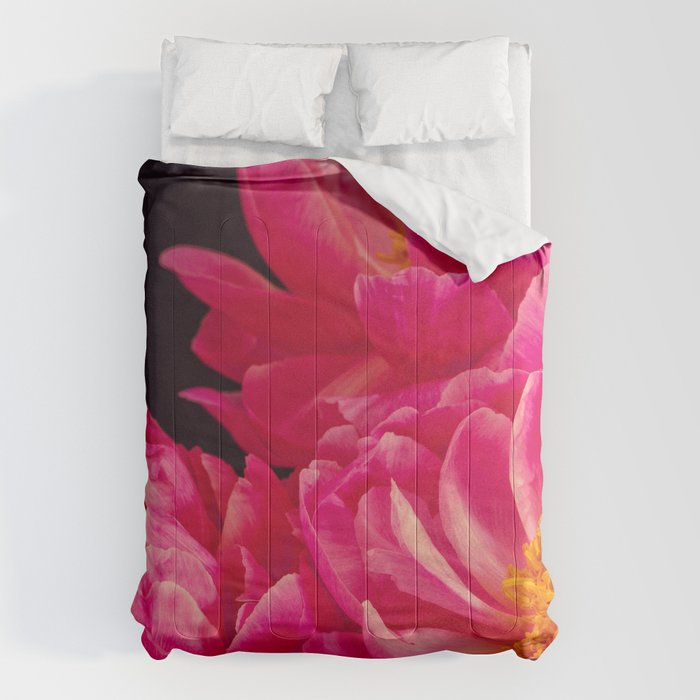 Hot Pink Peonies Comforter Gallery Image 1