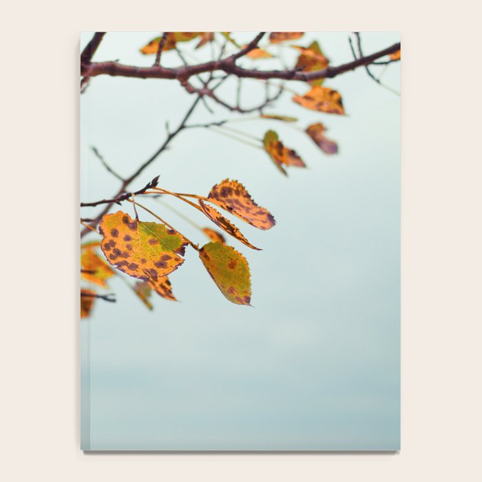 Serendipity Notebook Gallery Image 4