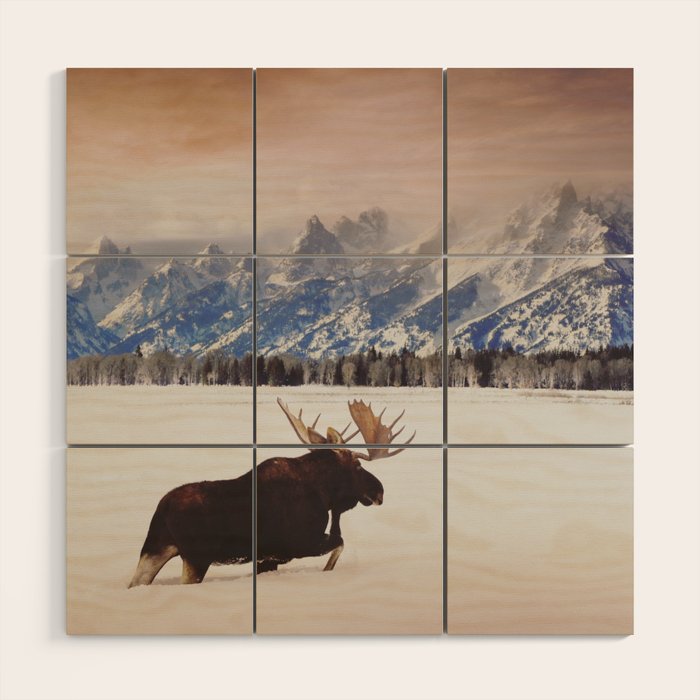 Grand Tetons Wanderer Wood Wall Art Gallery Image 1