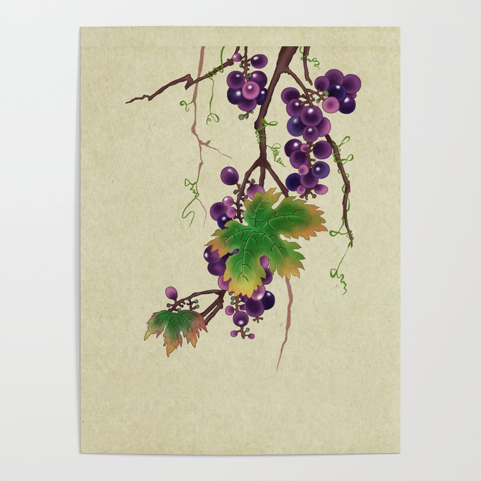 Minhwa : Grapevine Type (Korean traditional/folk art) Poster Gallery Image 1