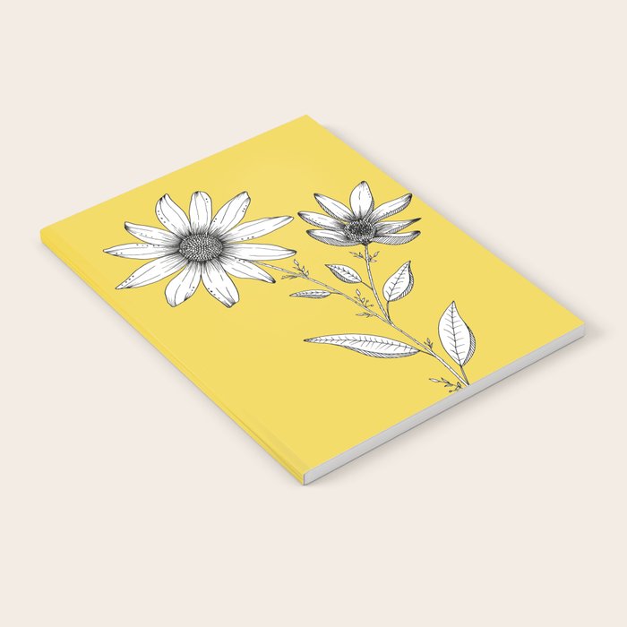 Wildflower line drawing | Botanical Art Notebook Gallery Image 2