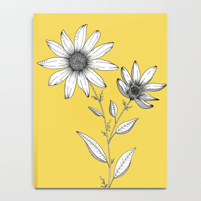 Wildflower line drawing | Botanical Art Notebook Gallery Image 4