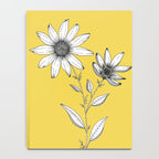 Wildflower line drawing | Botanical Art Notebook Gallery Image 4