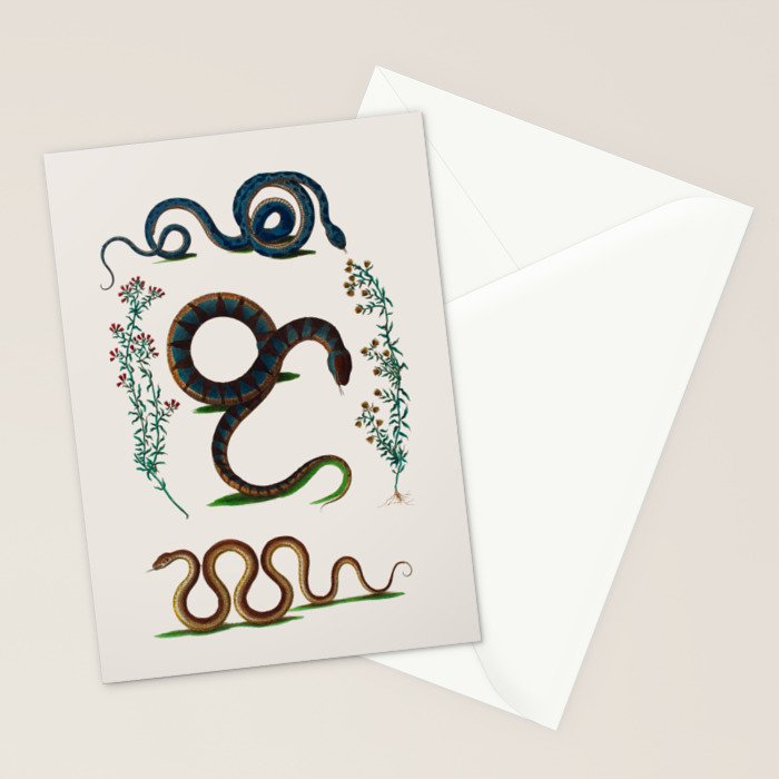 Albertus Seba Three Snakes And Floral Vines  Stationery Card Gallery Image 2