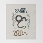 Albertus Seba Three Snakes And Floral Vines  Throw Blanket Gallery Image 2