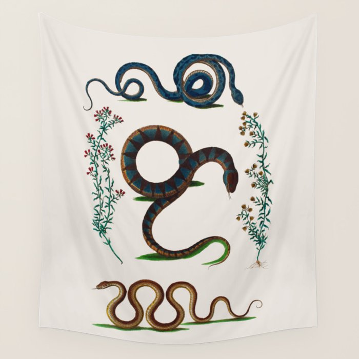 Albertus Seba Three Snakes And Floral Vines  Wall Tapestry Gallery Image 4