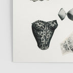 Lingerie Poster Gallery Image 3