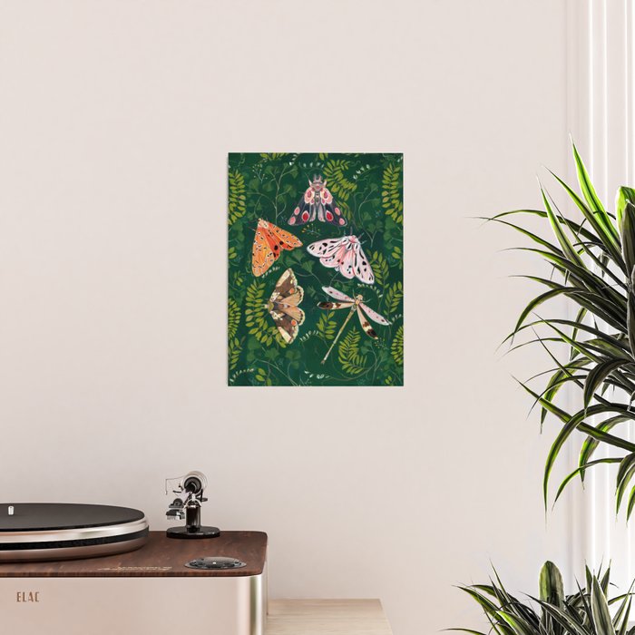 Moths and dragonfly Poster Gallery Image 2