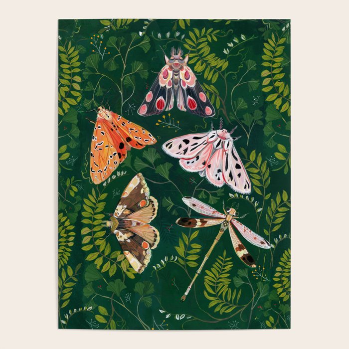 Moths and dragonfly Poster Gallery Image 1