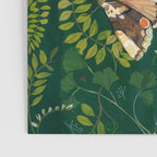 Moths and dragonfly Poster Gallery Image 3