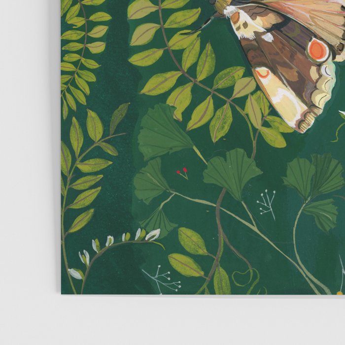 Moths and dragonfly Poster Gallery Image 3