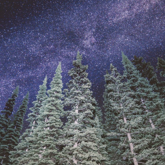 Lightyears - Milkyway Forest Coffee Mug Gallery Image 2