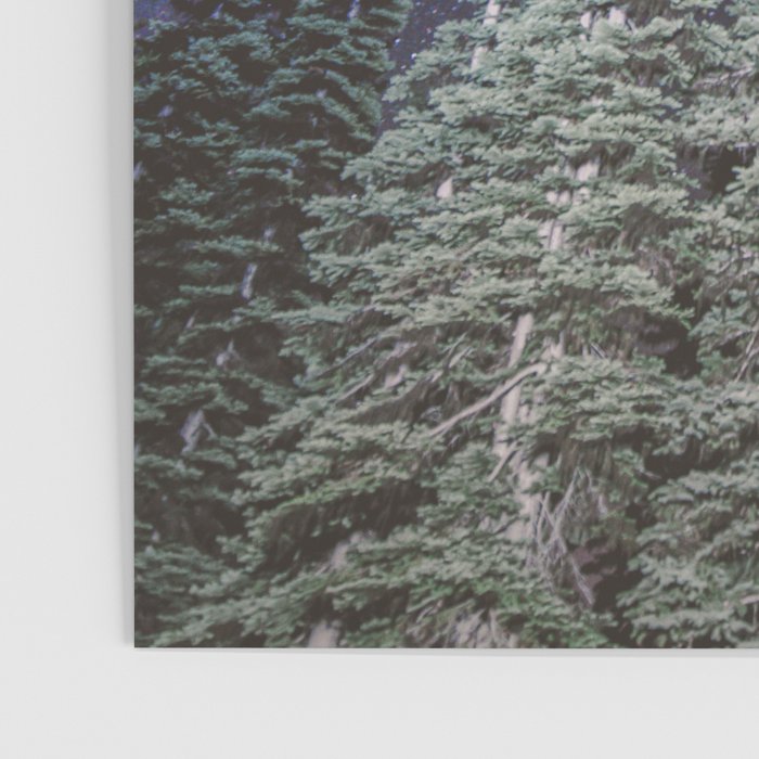 Lightyears - Milkyway Forest Poster Gallery Image 3