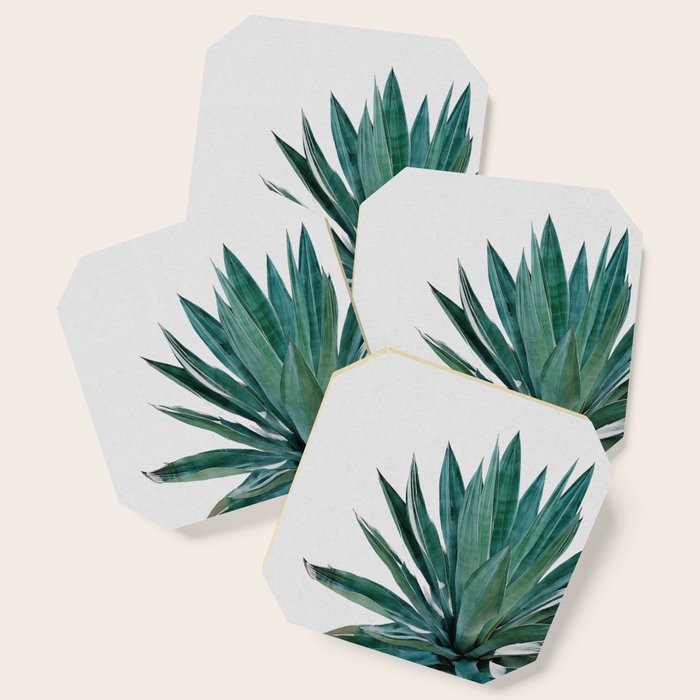 Agave Cactus Coaster Gallery Image 1