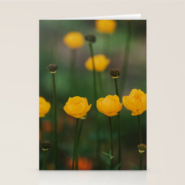 Flower Rhythm - Landscape and Nature Photography Stationery Card Gallery Image 2