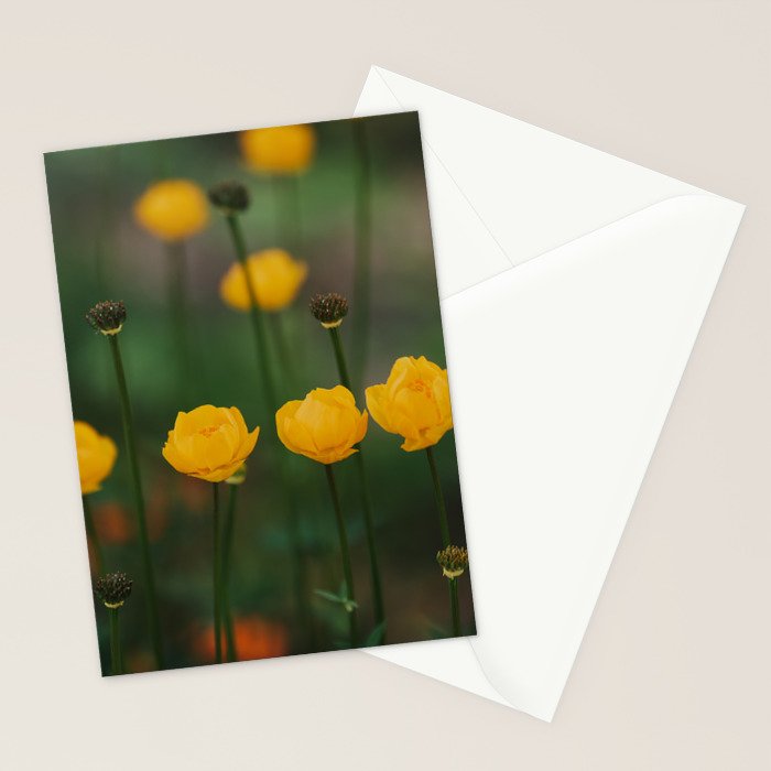 Flower Rhythm - Landscape and Nature Photography Stationery Card Gallery Image 2