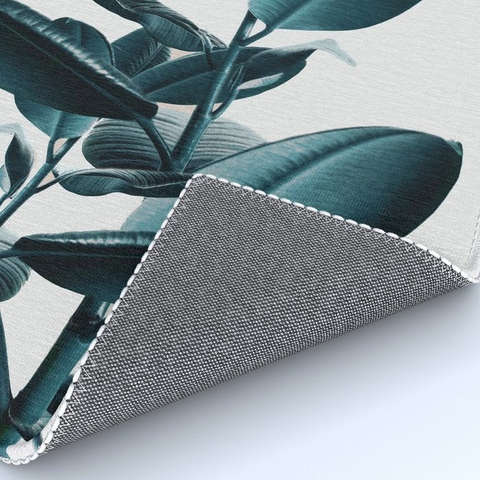 Ficus Rug Gallery Image 4