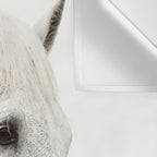 White Horse | Animal Art Print | Nature Photography Wall Tapestry Gallery Image 3