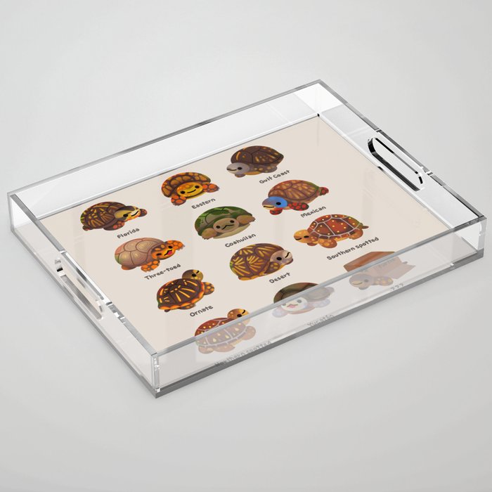 Box turtle Acrylic Tray Gallery Image 1