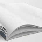 Winter Stars Notebook Gallery Image 2