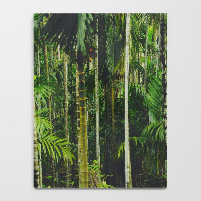 Tropical Bamboo Palm Forest Notebook Gallery Image 4