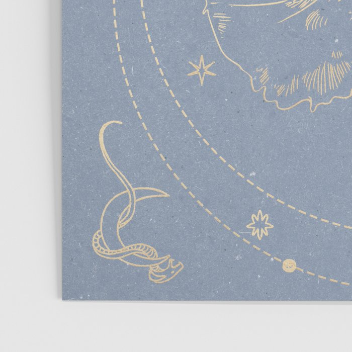 The mystical orchid  Poster Gallery Image 3