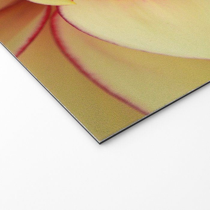 Sanguine - Happy Flower photograph - Modern Dahlia Botanical Art - Floral Welcome Mat Gallery Image 2