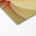 Sanguine - Happy Flower photograph - Modern Dahlia Botanical Art - Floral Welcome Mat Gallery Image 2