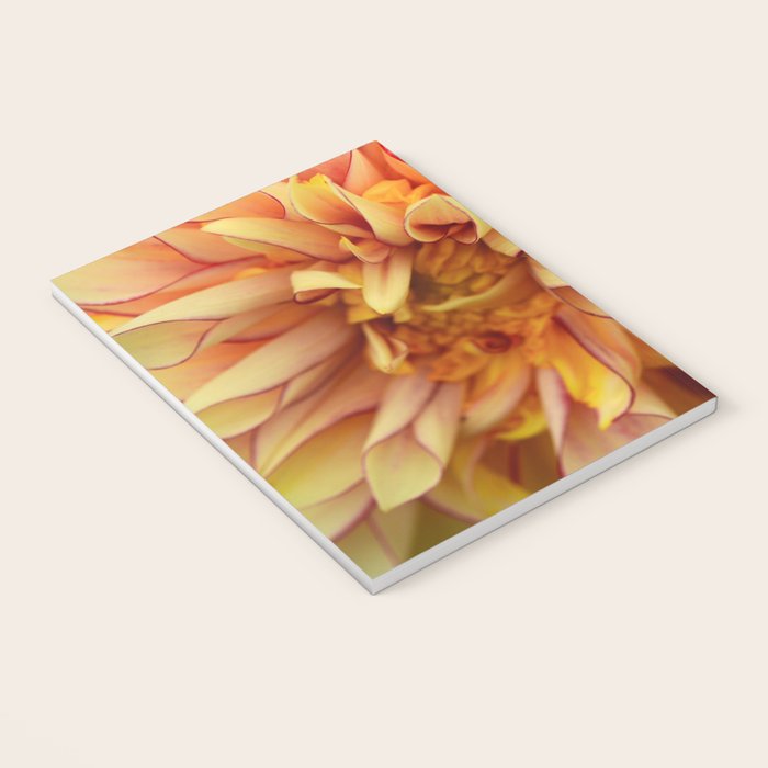 Sanguine - Happy Flower photograph - Modern Dahlia Botanical Art - Floral Notebook Gallery Image 3