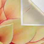 Sanguine - Happy Flower photograph - Modern Dahlia Botanical Art - Floral Wall Tapestry Gallery Image 3