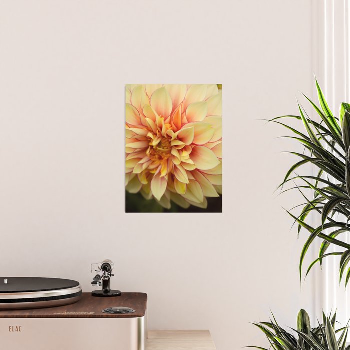 Sanguine - Happy Flower photograph - Modern Dahlia Botanical Art - Floral Poster Gallery Image 2