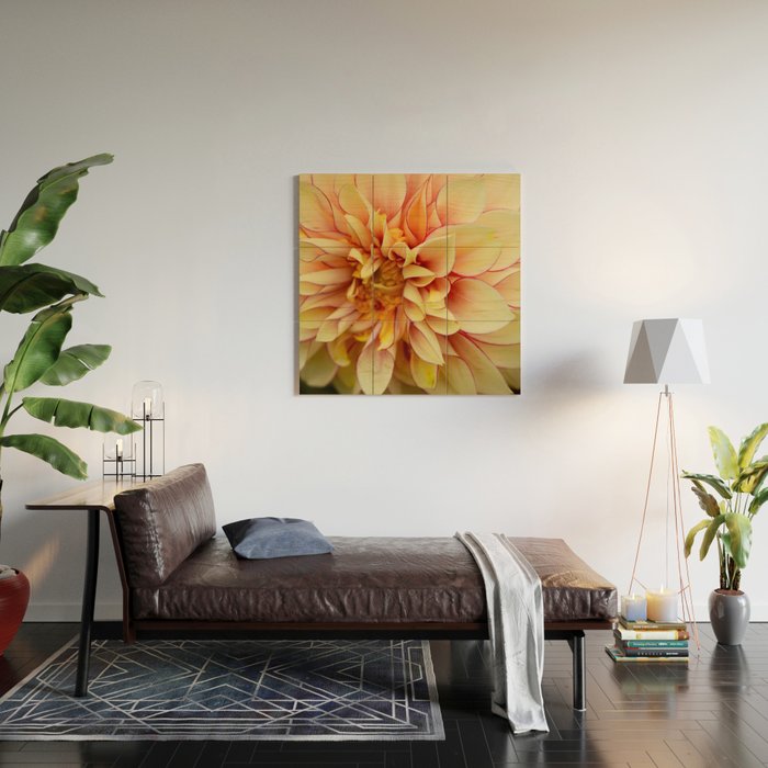 Sanguine - Happy Flower photograph - Modern Dahlia Botanical Art - Floral Wood Wall Art Gallery Image 2