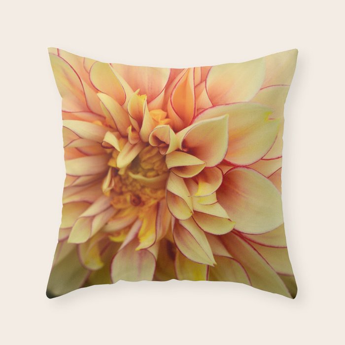 Sanguine - Happy Flower photograph - Modern Dahlia Botanical Art - Floral Throw Pillow Gallery Image 1