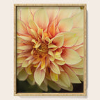Sanguine - Happy Flower photograph - Modern Dahlia Botanical Art - Floral Serving Tray Gallery Image 1