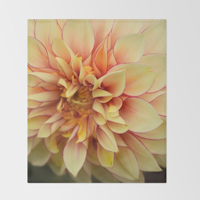 Sanguine - Happy Flower photograph - Modern Dahlia Botanical Art - Floral Throw Blanket Gallery Image 2