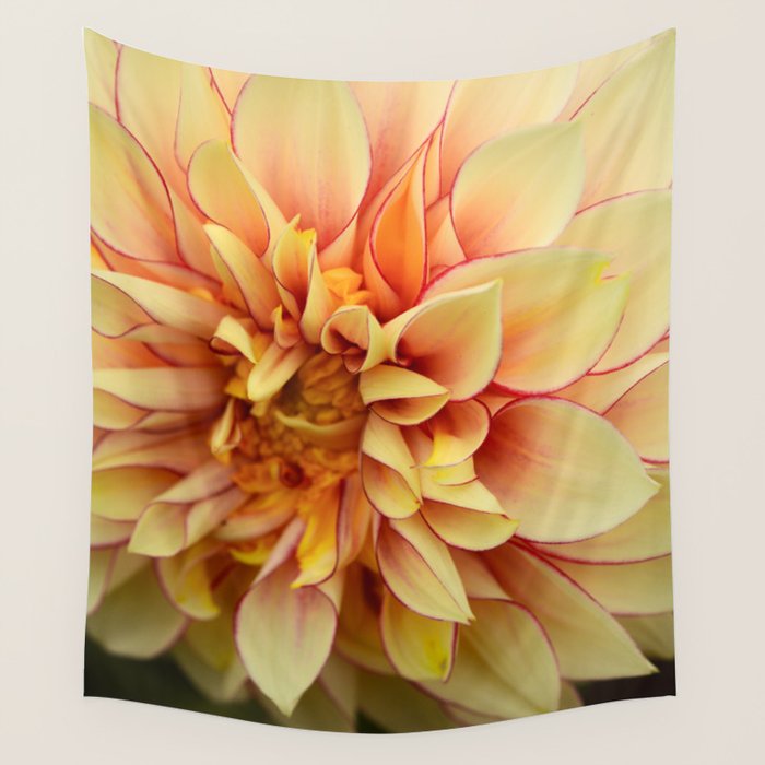 Sanguine - Happy Flower photograph - Modern Dahlia Botanical Art - Floral Wall Tapestry Gallery Image 4