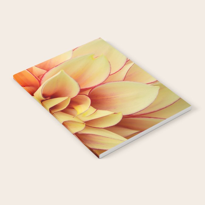 Sanguine - Happy Flower photograph - Modern Dahlia Botanical Art - Floral Notebook Gallery Image 1