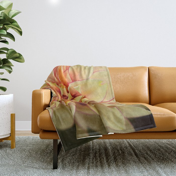 Sanguine - Happy Flower photograph - Modern Dahlia Botanical Art - Floral Throw Blanket Gallery Image 1