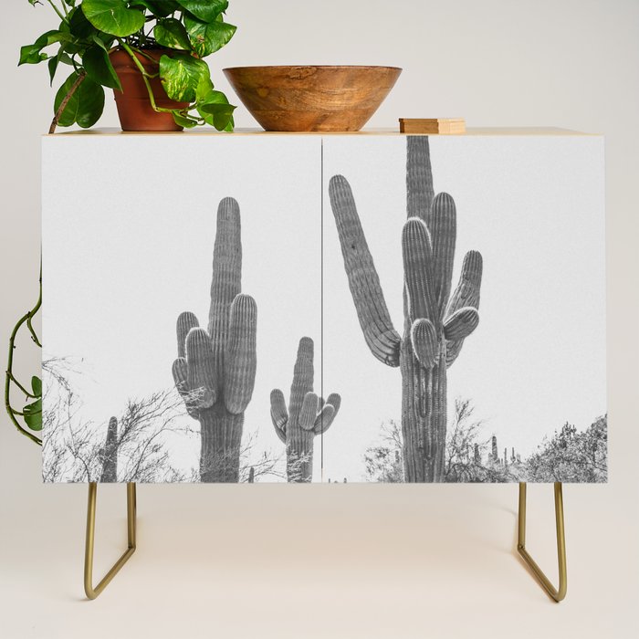 ARIZONA DESERT IV / Phoenix Credenza Gallery Image 1