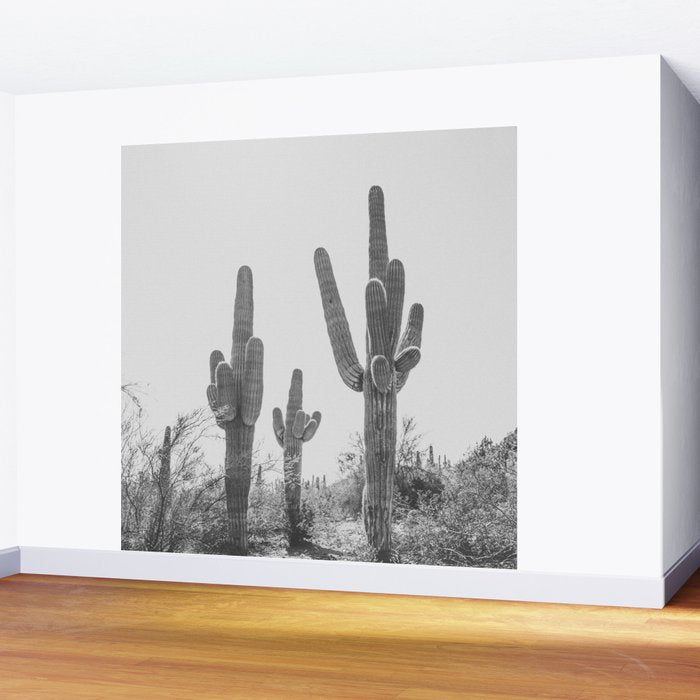 ARIZONA DESERT IV / Phoenix Wall Mural Gallery Image 2