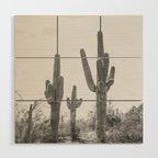 ARIZONA DESERT IV / Phoenix Wood Wall Art Gallery Image 1
