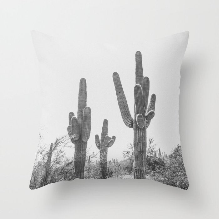 ARIZONA DESERT IV / Phoenix Throw Pillow Gallery Image 6