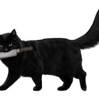 Knife Cat Coffee Mug Gallery Image 2