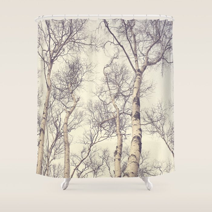 Winter Birch Trees - Scandinavian decor nature photograph Shower Curtain Gallery Image 1