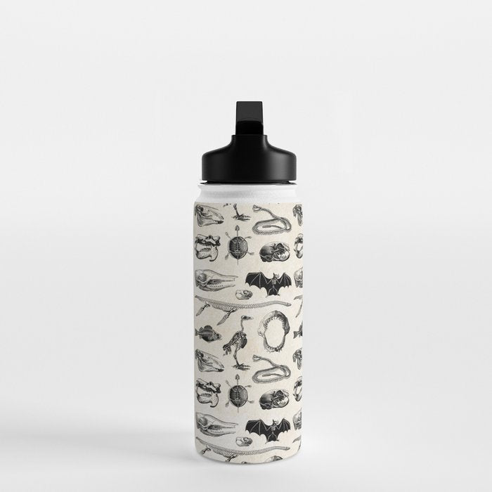 Animal Bones Water Bottle Gallery Image 3