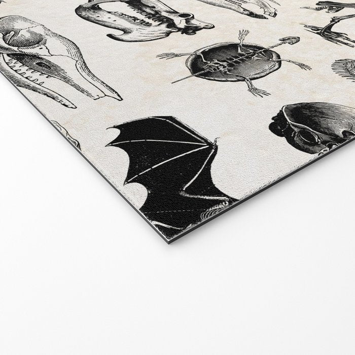 Animal Bones Welcome Mat Gallery Image 2