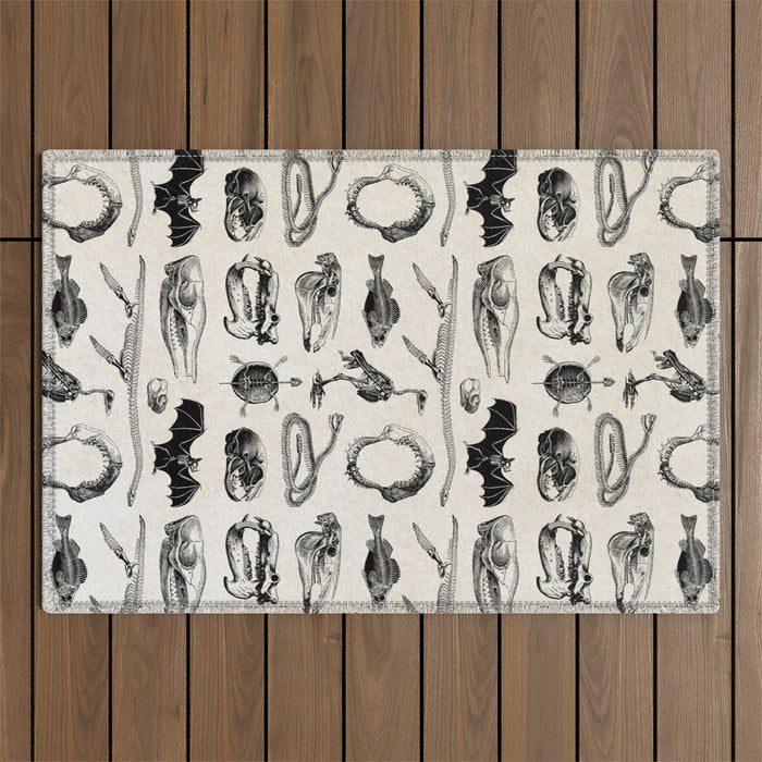 Animal Bones Outdoor Rug Gallery Image 1