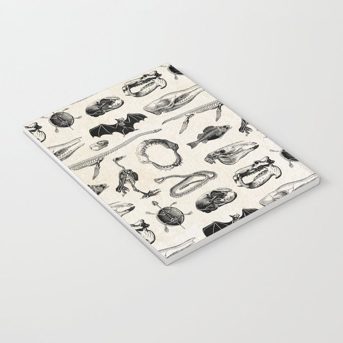 Animal Bones Notebook Gallery Image 3